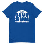 Blue Sun Corporation — image 2