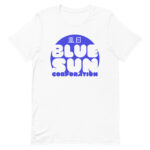 Blue Sun Corporation — image 1